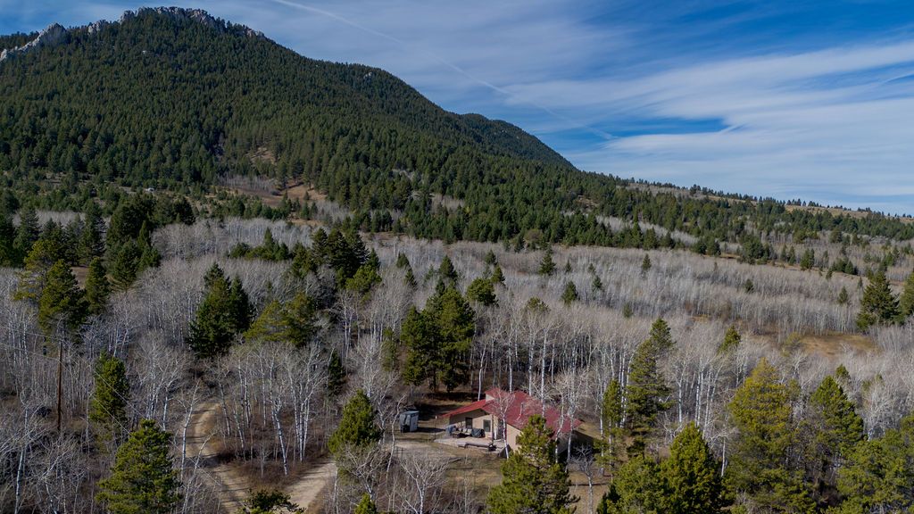 16 Kinikinic Trail, Red Lodge, MT 59068 photo 2