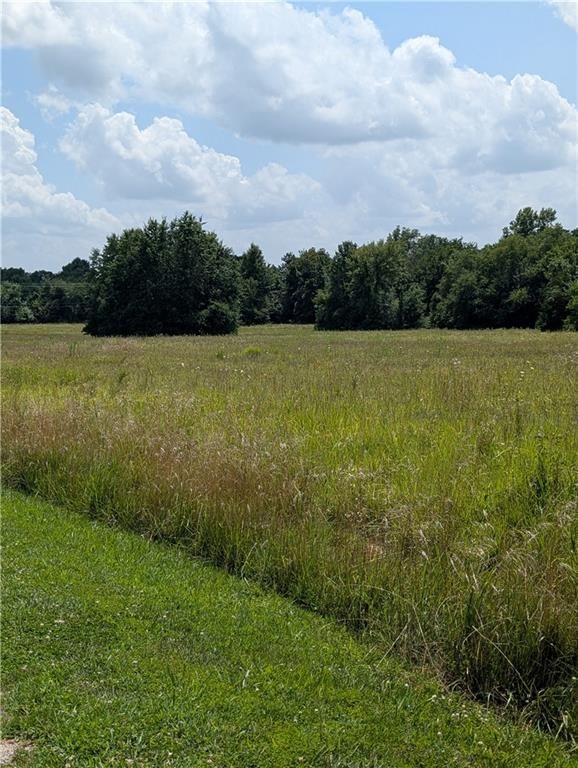 Jackson Street, El Dorado Springs, MO 64744