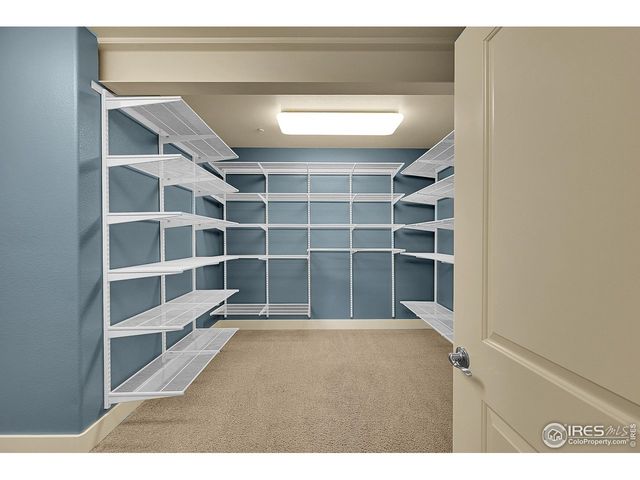 236 Hawks Nest Way, Fort Collins, CO 80524