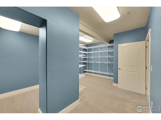 236 Hawks Nest Way, Fort Collins, CO 80524