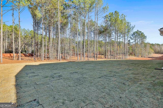 188 Tattersall Way 5-99, Senoia, GA 30276