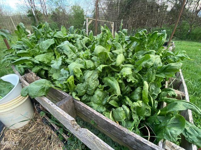 201 Hartsell Road, Jonesborough, TN 37659