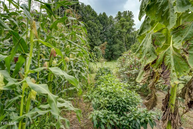 201 Hartsell Road, Jonesborough, TN 37659