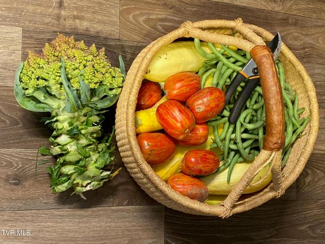 201 Hartsell Road, Jonesborough, TN 37659