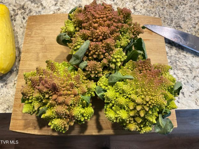 201 Hartsell Road, Jonesborough, TN 37659