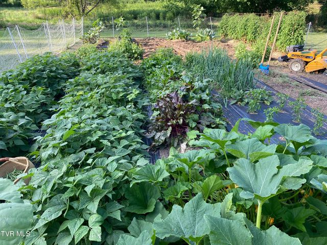 201 Hartsell Road, Jonesborough, TN 37659