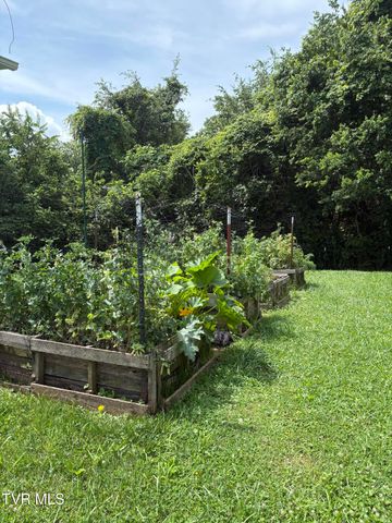 201 Hartsell Road, Jonesborough, TN 37659