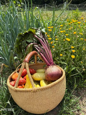 201 Hartsell Road, Jonesborough, TN 37659