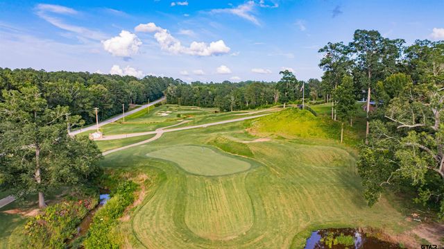 741 E Wilkins, Gladewater, TX 75647