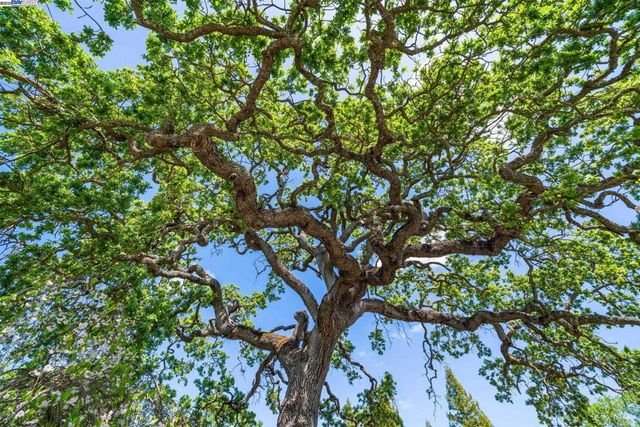 484 El Pintado Rd, Danville, CA 94526