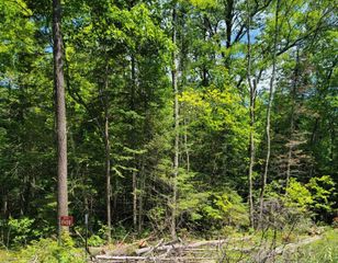 4948W Tower Road, Winter, WI 54896