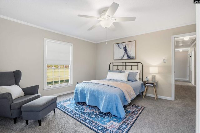 598 Maple Branch Road, Reevesville, SC 29471