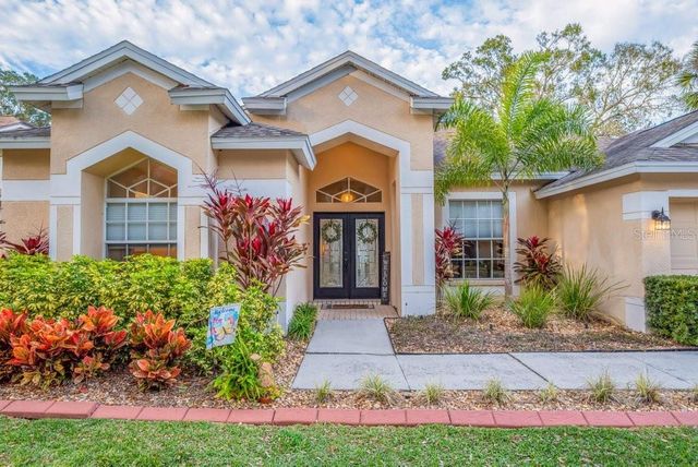 12537 RIVER BIRCH DRIVE, Riverview, FL 33569