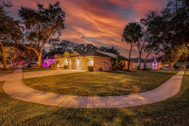 12537 RIVER BIRCH DRIVE, Riverview, FL 33569