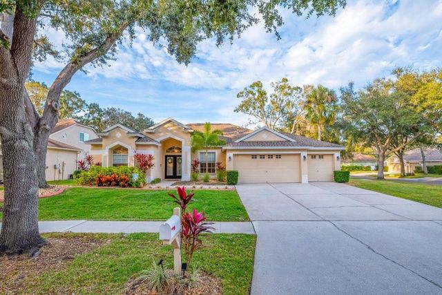 12537 RIVER BIRCH DRIVE, Riverview, FL 33569