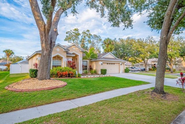 12537 RIVER BIRCH DRIVE, Riverview, FL 33569