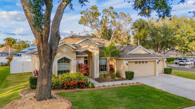 12537 RIVER BIRCH DRIVE, Riverview, FL 33569