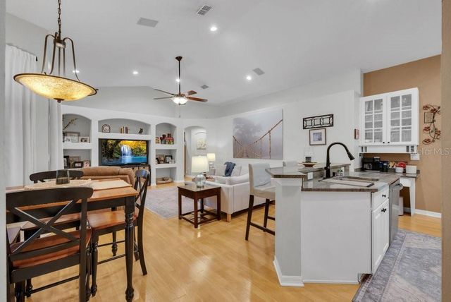 12537 RIVER BIRCH DRIVE, Riverview, FL 33569