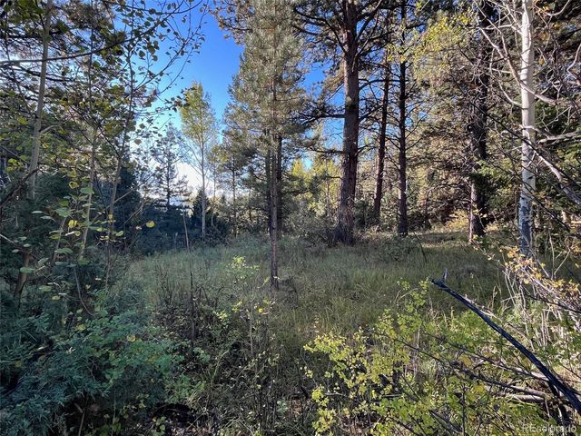 14759 Quartz Circle, Salida, CO 81201