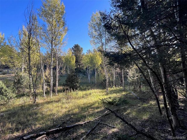 14759 Quartz Circle, Salida, CO 81201