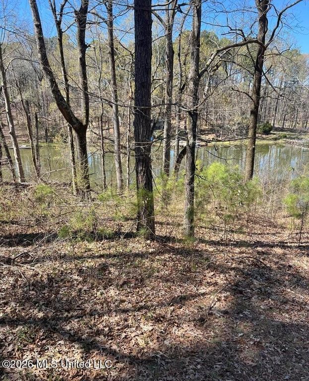 12 Boka Cove, Hernando, MS 38632 — photo 2
