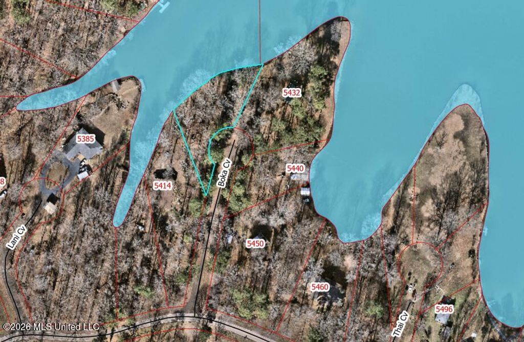 12 Boka Cove, Hernando, MS 38632 — photo 3