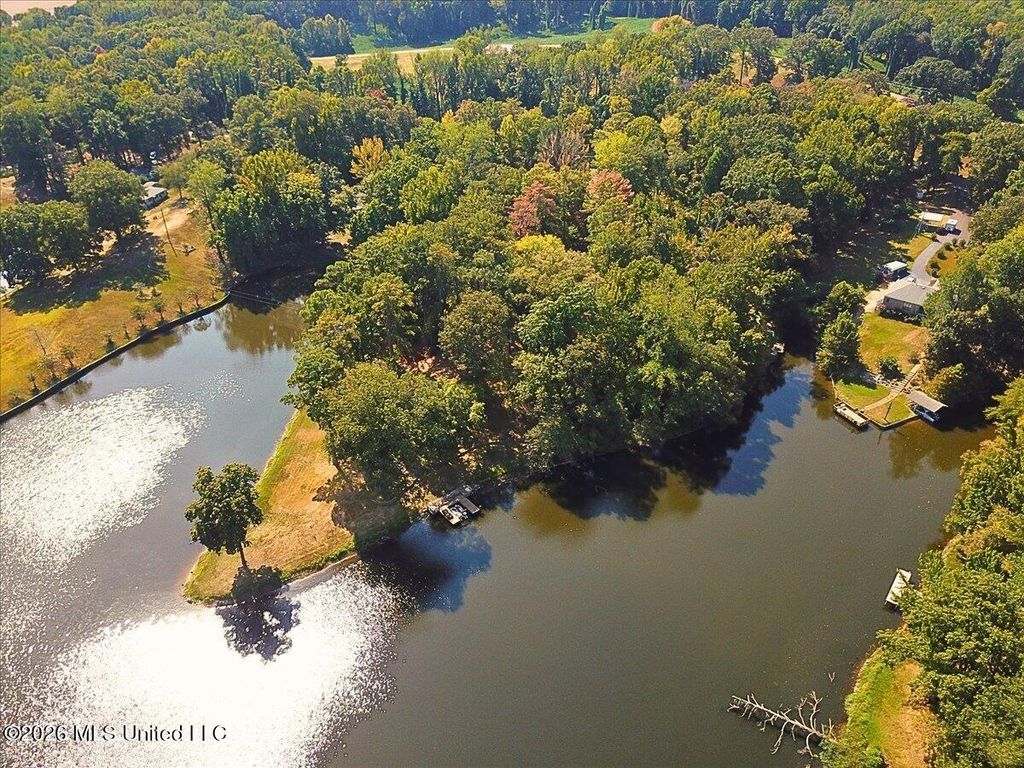 12 Boka Cove, Hernando, MS 38632 — photo 5