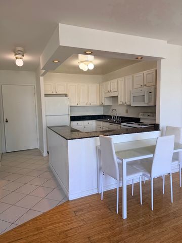 211 E OHIO Street 2706, Chicago, IL 60611