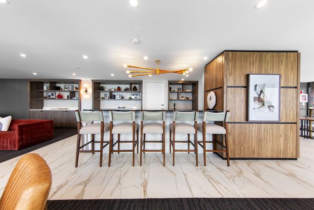 260 E Chestnut Street 4204, Chicago, IL 60611