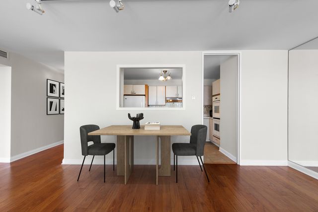 260 E Chestnut Street 4204, Chicago, IL 60611
