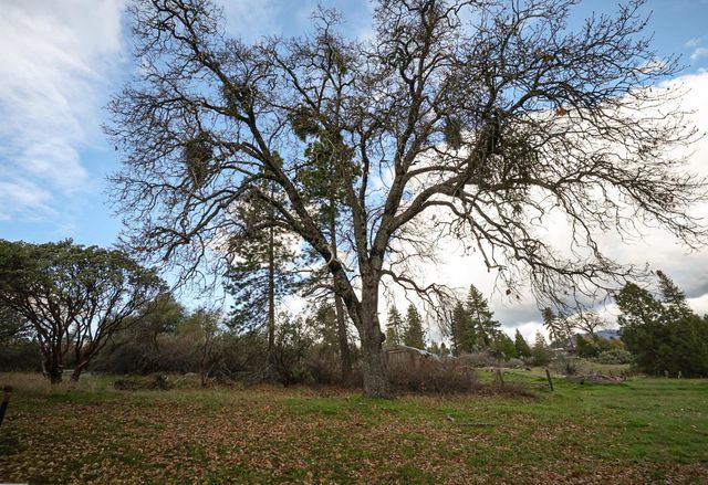 5156 Hillside Drive, Mariposa, CA 95338