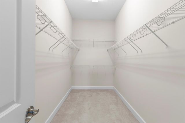 15910 Rain Lilly Way, The Acreage, FL 33470