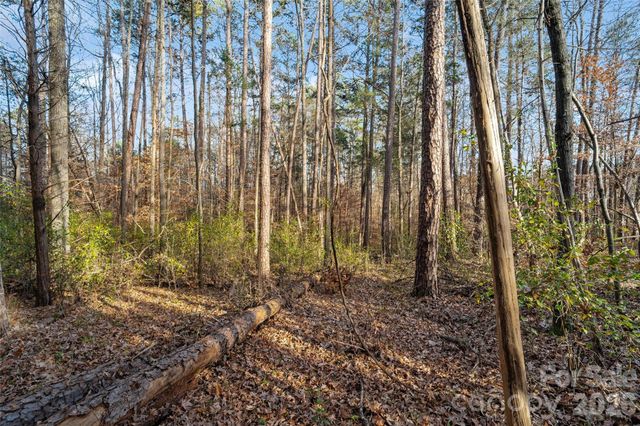 0000 Sandy Ford Road, Mount Holly, NC 28120