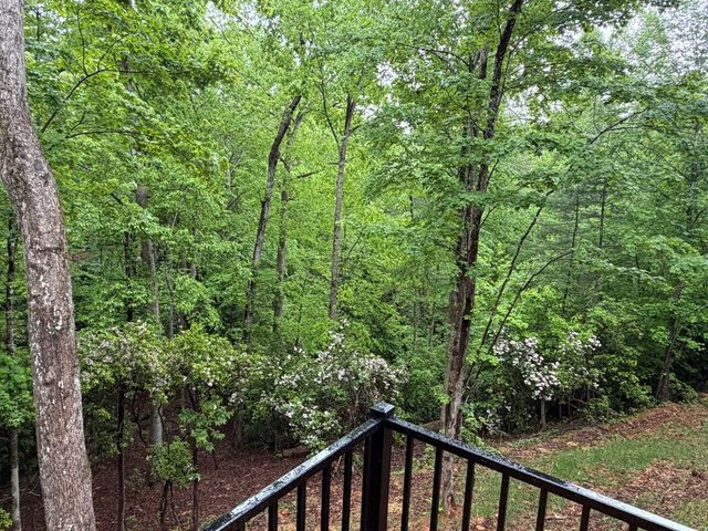 538 Hiawatha Trail, Blue Ridge, GA 30513