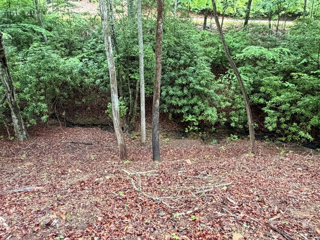 538 Hiawatha Trail, Blue Ridge, GA 30513