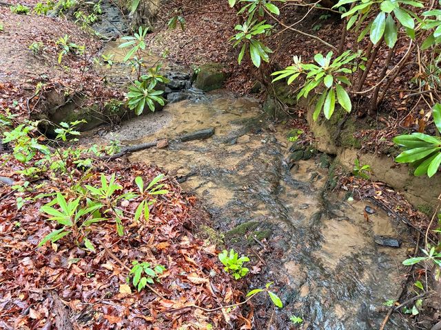 538 Hiawatha Trail, Blue Ridge, GA 30513