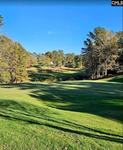 8 High Pointe Lane, Blythewood, SC 29016