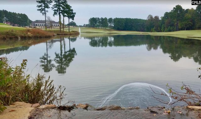 8 High Pointe Lane, Blythewood, SC 29016