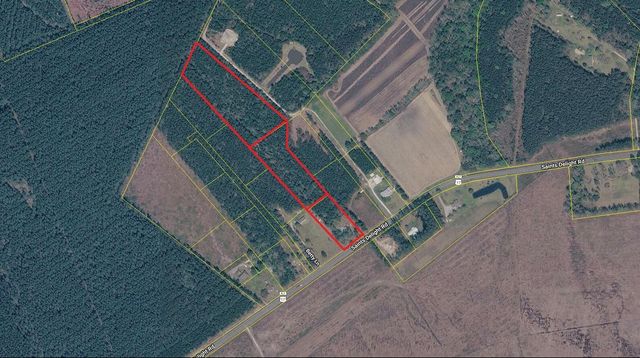 6222 Saints Delight Rd., Georgetown, SC 29440