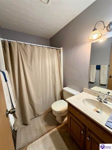 233 Berrytown Road, Rineyville, KY 40162