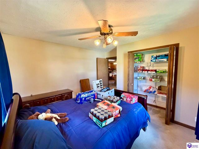233 Berrytown Road, Rineyville, KY 40162
