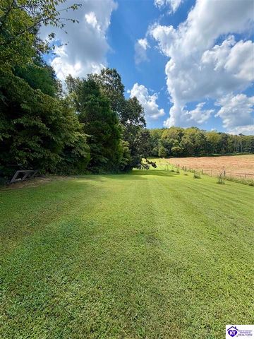 233 Berrytown Road, Rineyville, KY 40162