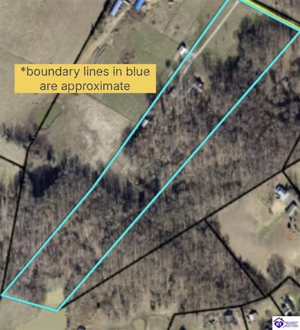 233 Berrytown Road, Rineyville, KY 40162