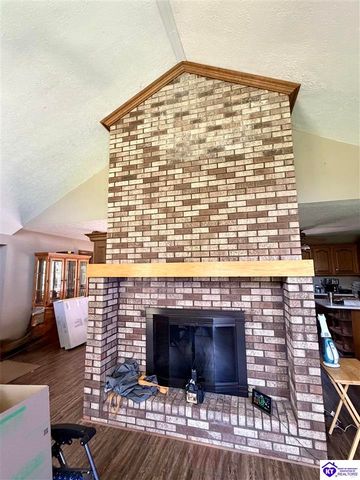 233 Berrytown Road, Rineyville, KY 40162