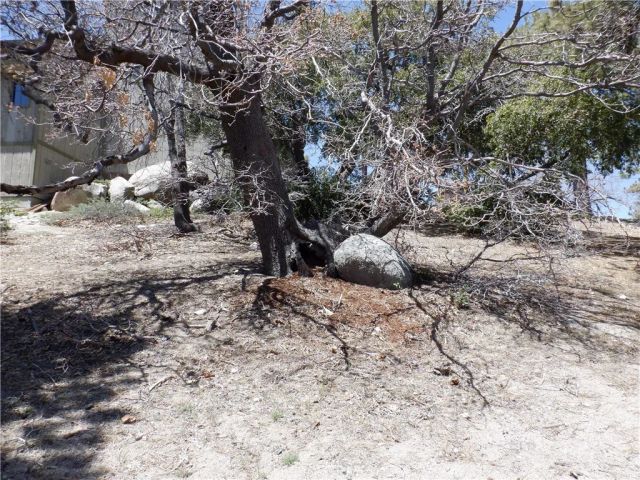 0 Holcomb Creek, Green Valley Lake, CA 92341