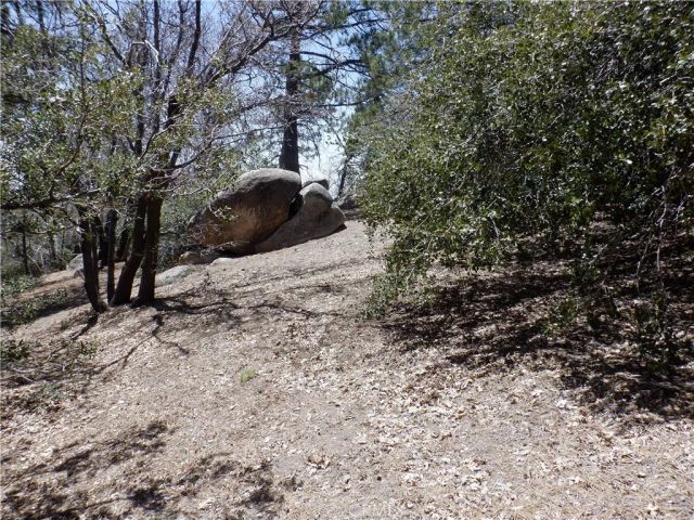 0 Holcomb Creek, Green Valley Lake, CA 92341
