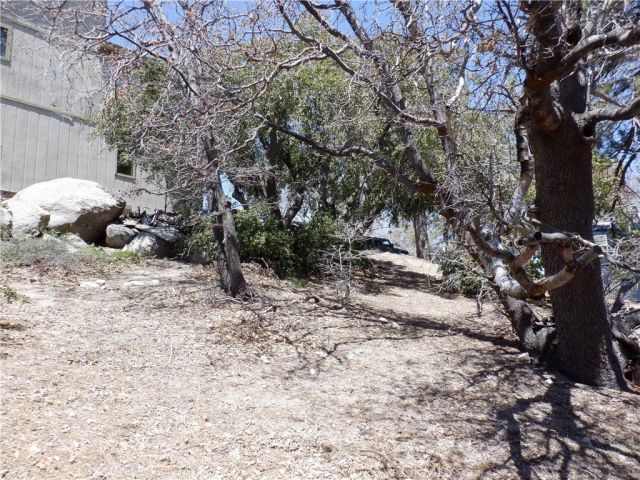0 Holcomb Creek, Green Valley Lake, CA 92341