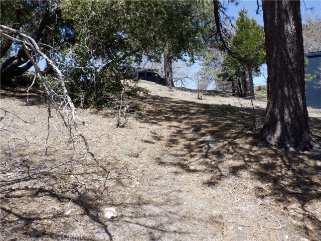0 Holcomb Creek, Green Valley Lake, CA 92341
