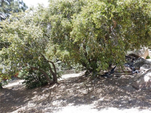 0 Holcomb Creek, Green Valley Lake, CA 92341