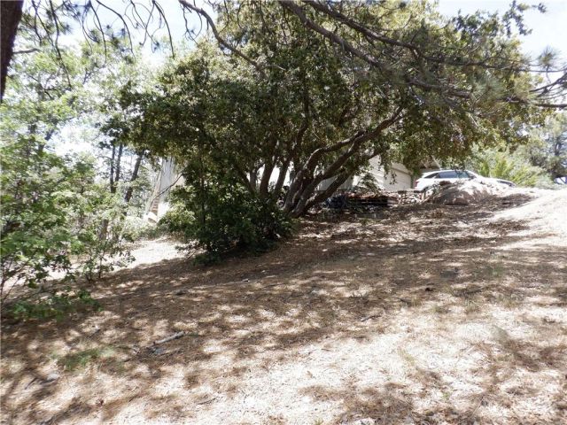 0 Holcomb Creek, Green Valley Lake, CA 92341